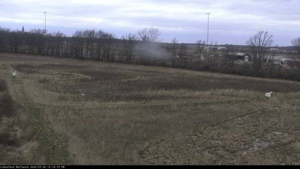 Cell 2_24-03-26_12-14-19-93