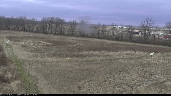 Cell 2_24-03-26_12-47-49-92