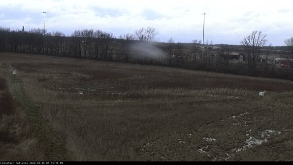 Cell 2_24-03-26_15-35-16-91