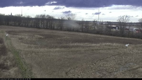 Cell 2_24-03-26_17-15-44-93