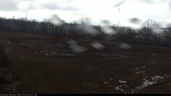 Cell 2_24-03-26_17-49-14-91