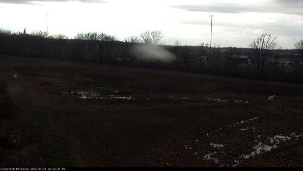 Cell 2_24-03-26_18-22-43-90