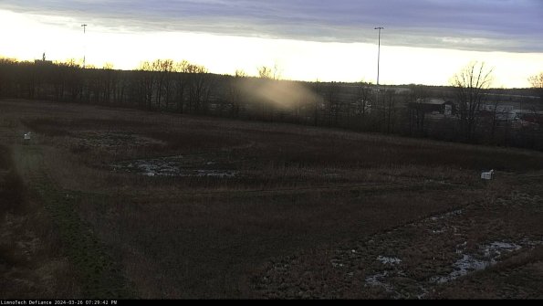 Cell 2_24-03-26_19-29-42-90