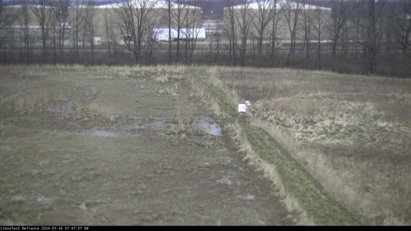 Cell 3 to 4_24-03-26_07-47-07-88