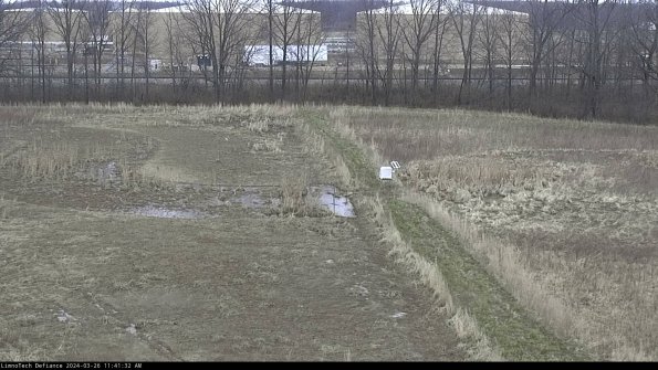 Cell 3 to 4_24-03-26_11-41-32-86