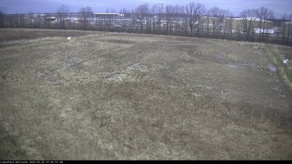 Cell 3_24-03-26_07-46-53-86