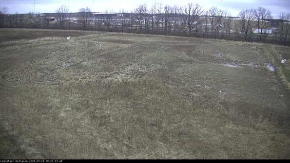 Cell 3_24-03-26_08-20-22-88