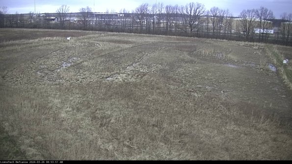 Cell 3_24-03-26_08-53-51-89