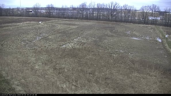 Cell 3_24-03-26_09-27-20-91