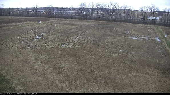 Cell 3_24-03-26_10-00-50-89