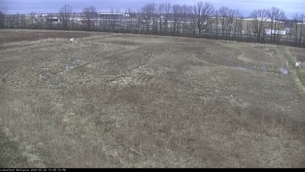 Cell 3_24-03-26_12-48-17-11