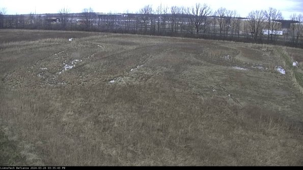 Cell 3_24-03-26_15-35-44-10