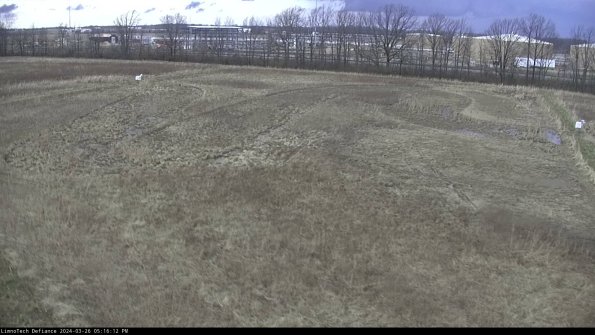 Cell 3_24-03-26_17-16-12-89