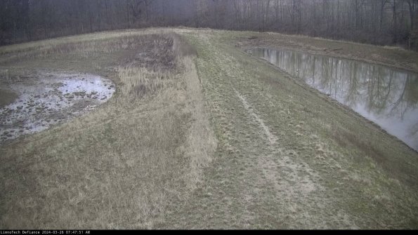 Cell 4 to Basin_24-03-26_07-47-51-89