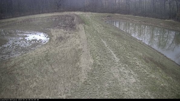 Cell 4 to Basin_24-03-26_08-54-49-88