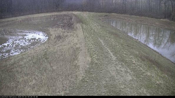 Cell 4 to Basin_24-03-26_09-28-18-90