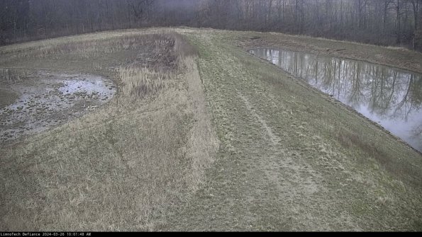 Cell 4 to Basin_24-03-26_10-01-48-88