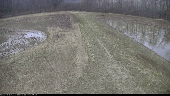 Cell 4 to Basin_24-03-26_10-35-17-90