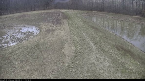 Cell 4 to Basin_24-03-26_11-42-16-90