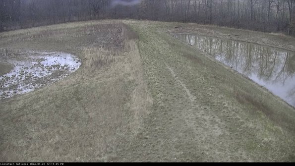 Cell 4 to Basin_24-03-26_12-15-45-89