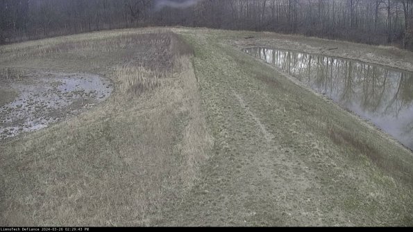 Cell 4 to Basin_24-03-26_14-29-43-89