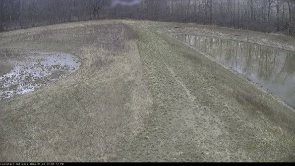 Cell 4 to Basin_24-03-26_15-03-12-91