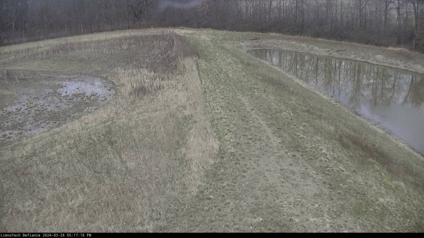 Cell 4 to Basin_24-03-26_17-17-10-95