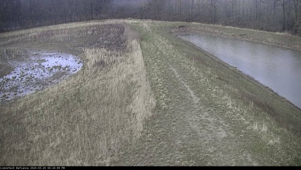 Cell 4 to Basin_24-03-26_18-24-09-88