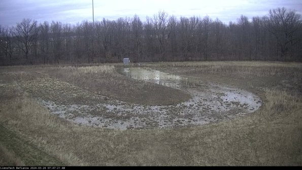 Cell 4_24-03-26_07-47-21-89