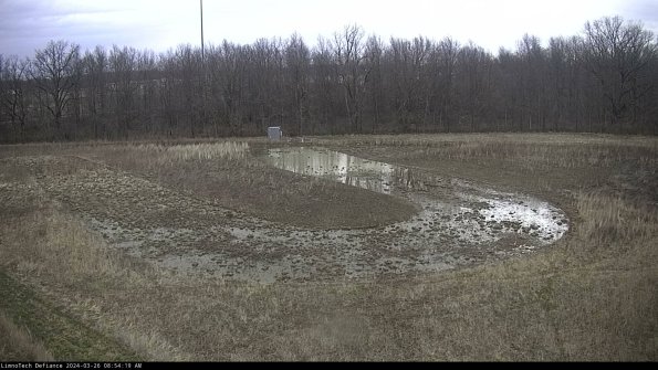 Cell 4_24-03-26_08-54-19-89