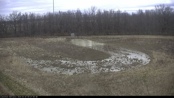 Cell 4_24-03-26_09-27-48-90