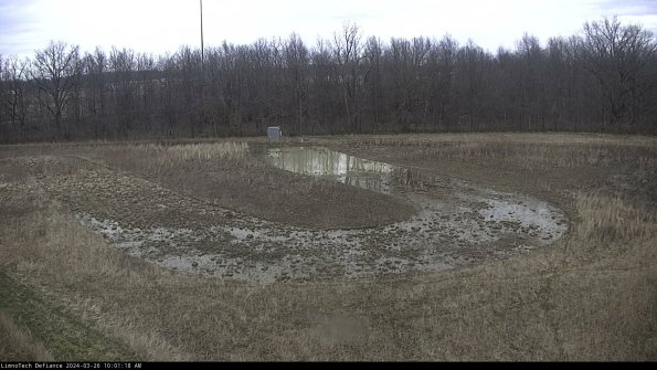 Cell 4_24-03-26_10-01-18-92