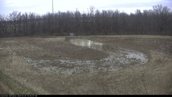 Cell 4_24-03-26_10-34-47-87