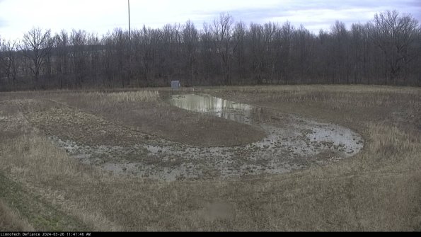 Cell 4_24-03-26_11-41-46-87