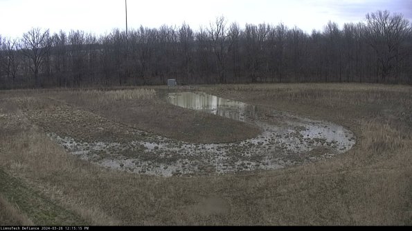 Cell 4_24-03-26_12-15-15-89