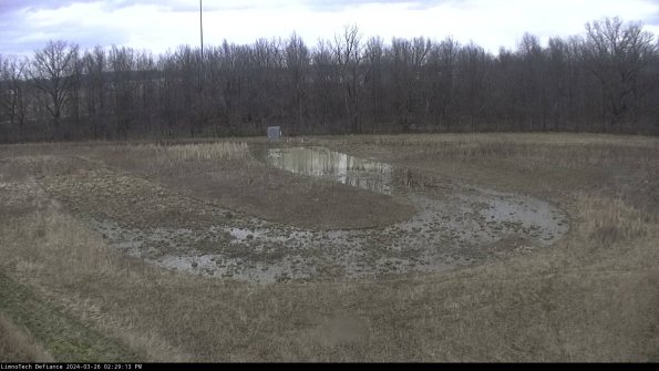 Cell 4_24-03-26_14-29-13-90