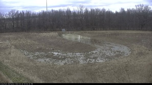 Cell 4_24-03-26_15-02-42-88