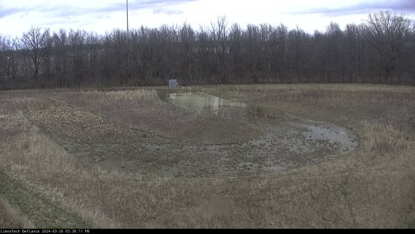 Cell 4_24-03-26_15-36-11-86