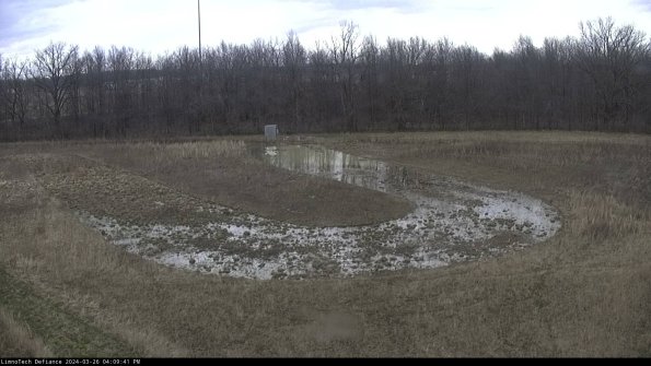 Cell 4_24-03-26_16-09-41-88