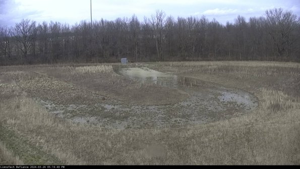 Cell 4_24-03-26_17-16-40-92