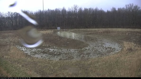 Cell 4_24-03-26_17-50-10-87