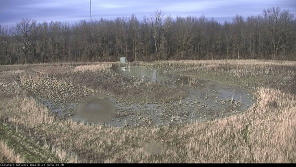 Cell 4_24-03-26_18-57-09-90