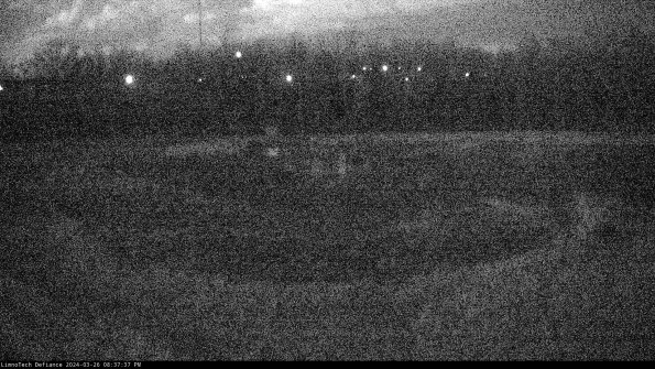 Cell 4_24-03-26_20-37-37-88