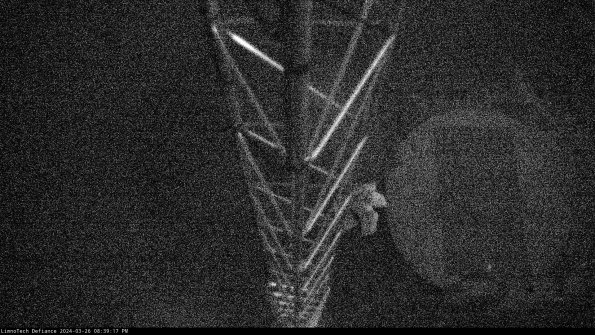 Hatch_24-03-26_20-39-17-88