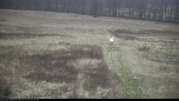 Cell 1 to 2_24-03-27_07-37-56-15