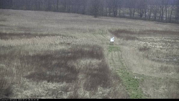 Cell 1 to 2_24-03-27_08-44-56-17