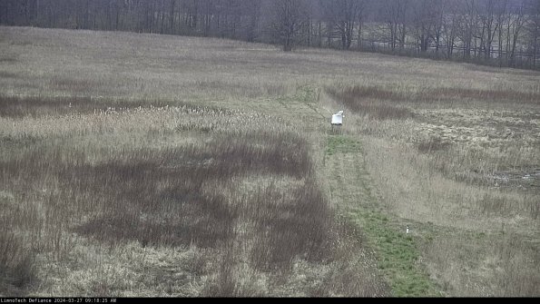 Cell 1 to 2_24-03-27_09-18-26-19