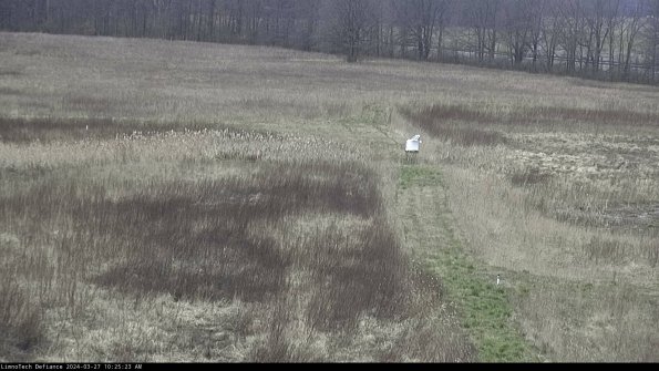 Cell 1 to 2_24-03-27_10-25-24-15