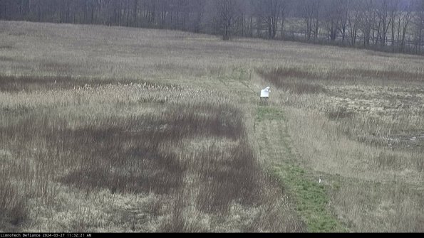 Cell 1 to 2_24-03-27_11-32-22-14