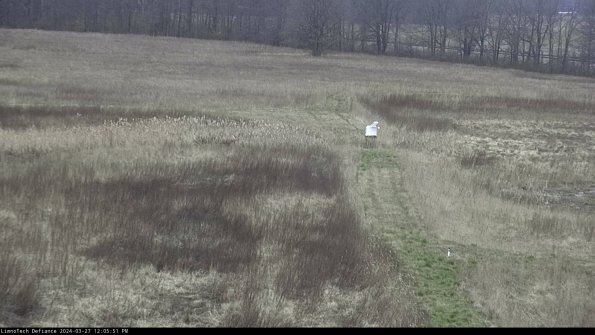 Cell 1 to 2_24-03-27_12-05-52-16